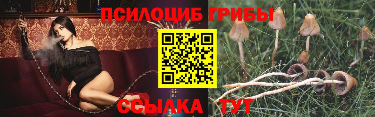 Галлюциногенные грибы прущие грибы  Вход с VPN  Галлюциногенные грибы мицелий  Наро-Фоминск 