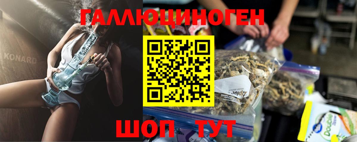 Галлюциногенные грибы Psilocybe Наро-Фоминск